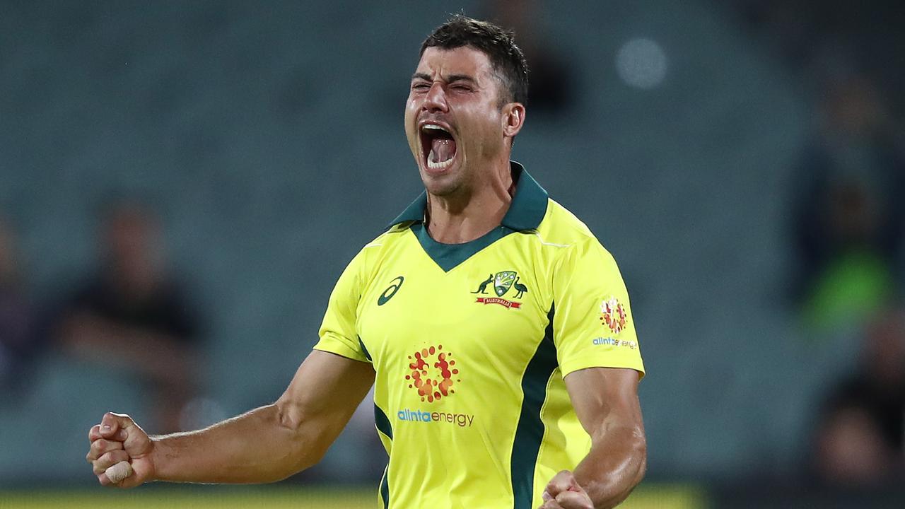 stoinis